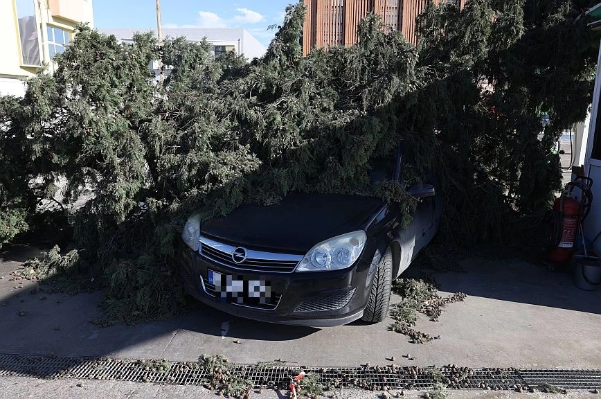 Θεσσαλονίκη: Οι θυελλώδεις άνεμοι έριξαν 40 δέντρα – Έσπασε το στέγαστρο βενζινάδικου