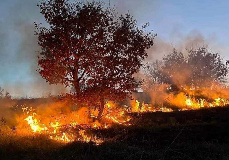 Φωτιά σε δασική έκταση στην Ασπροκκλησια Καλαμπάκας