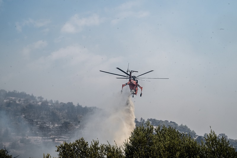 Φωτιά στο Παλαιόκαστρο Ελασσόνας