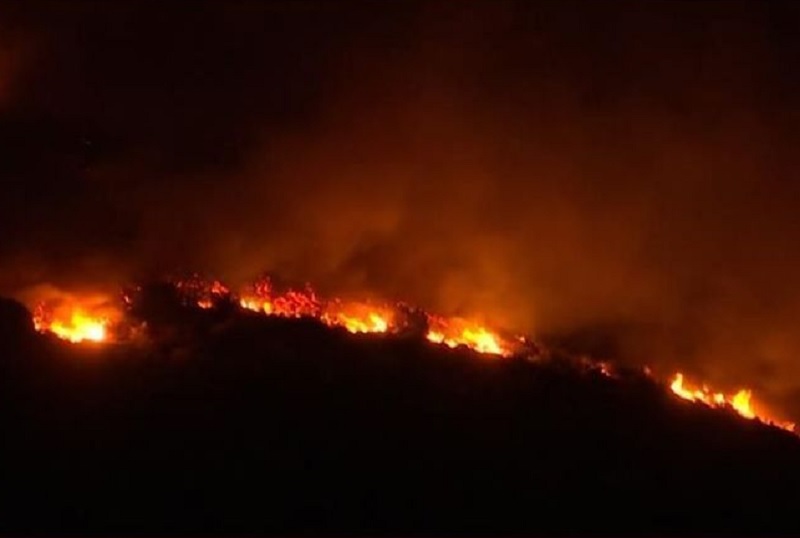 Ολονύχτια μάχη με τα πύρινα μέτωπα στην Εύβοια – Στην περιοχή μετέβη ο Βασίλης Κικίλιας