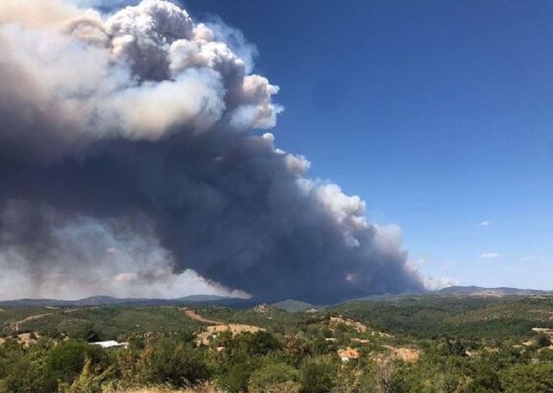 Φωτιά σε χαμηλή βλάστηση στο Καλαμίτσι Πρέβεζας
