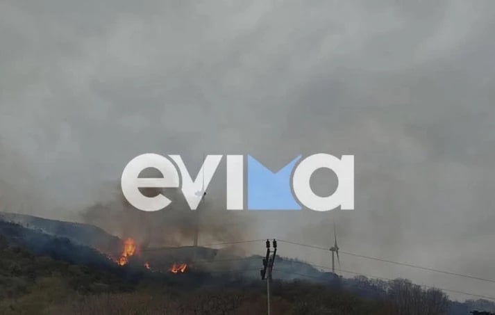 Φωτιά στην Κάρυστο