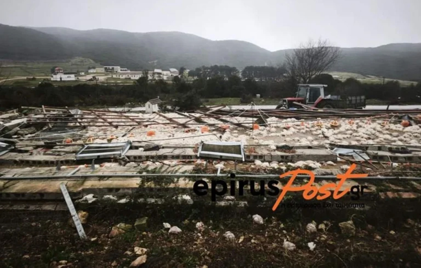Καταστροφή μεγάλης πτηνοτροφικής μονάδας στο Καλπάκι Ιωαννίνων από ανεμοστρόβιλο.