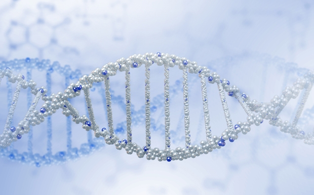 Το ανθρώπινο DNA αποκαλύπτει σημάδια ζευγαρώματος Νεάντερταλ και Homo Sapiens.