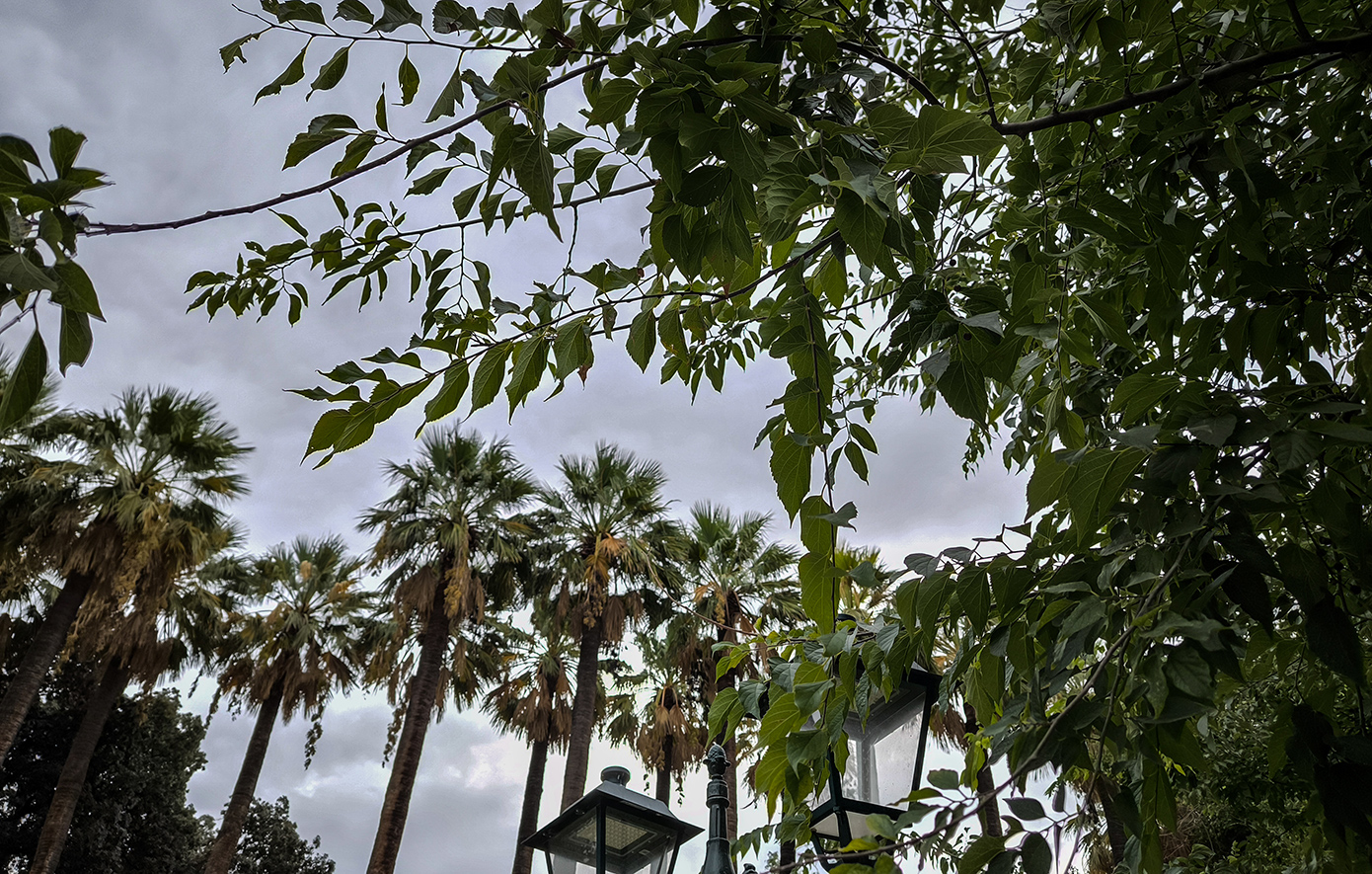 Τοπικές βροχές και χαμηλές θερμοκρασίες αναμένονται έως το μεσημέρι.