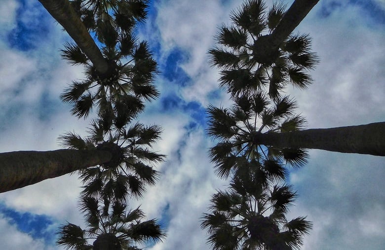 Ο καιρός της Δευτέρας 23/3/26