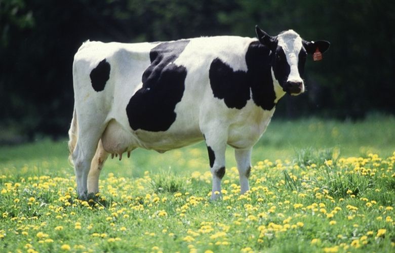 Εντατική επιτήρηση για κρούσματα στη Λέσβο.